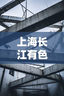 上海长江有色金属(上海长江有色金属网) 上海长江有色金属(上海长江有色金属网)