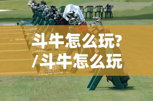斗牛怎么玩?/斗牛怎么玩规则详细 斗牛怎么玩?/斗牛怎么玩规则详细