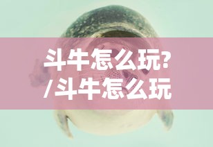 斗牛怎么玩?/斗牛怎么玩规则详细 斗牛怎么玩?/斗牛怎么玩规则详细