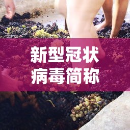 新型冠状病毒简称:新型冠状病毒简称英文 新型冠状病毒简称:新型冠状病毒简称英文