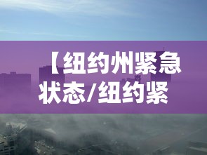 【纽约州紧急状态/纽约紧急战备】 【纽约州紧急状态/纽约紧急战备】