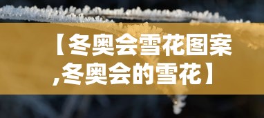 【冬奥会雪花图案,冬奥会的雪花】