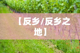 【反乡/反乡之地】 【反乡/反乡之地】