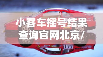 小客车摇号结果查询官网北京/北京小客车摇号指标查询结果