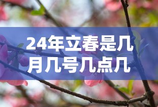 24年立春是几月几号几点几分(2024年立春是几月几号几点几分) 24年立春是几月几号几点几分(2024年立春是几月几号几点几分)