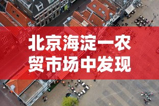 北京海淀一农贸市场中发现1例阳性（海淀区蔬菜批发市场有几个）