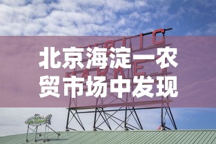 北京海淀一农贸市场中发现1例阳性（海淀区蔬菜批发市场有几个）