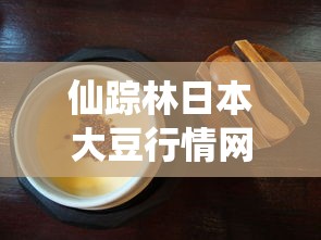 仙踪林日本大豆行情网/仙踪林日本大豆行情网剧情介绍