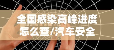 全国感染高峰进度怎么查/汽车安全扣图片