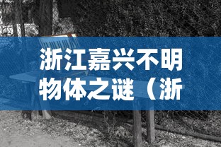浙江嘉兴不明物体之谜（浙江嘉兴凶杀案）
