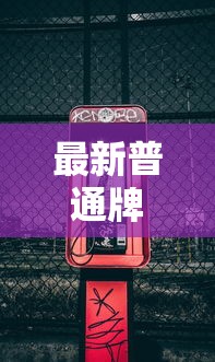 最新普通牌/普通牌照貝什么