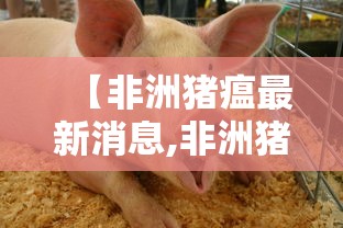 31省份新增22例确诊本土病例16例/31省区市新增确诊11例 本土1例 31省份新增22例确诊本土病例16例/31省区市新增确诊11例 本土1例