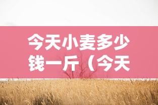 今天小麦多少钱一斤（今天小麦多少钱一斤最新报价）