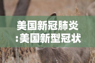 美国新冠肺炎:美国新型冠状病毒 美国新冠肺炎:美国新型冠状病毒