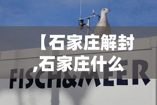 【石家庄解封,石家庄什么时候解放】
