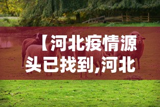 【河北疫情源头已找到,河北又出现新病毒了吗】
