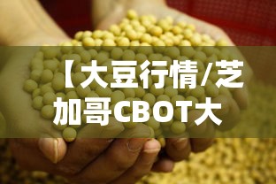 【大豆行情/芝加哥CBOT大豆行情】