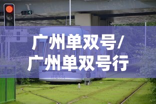 广州单双号/广州单双号行驶的规定 广州单双号/广州单双号行驶的规定