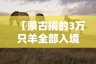 【蒙古捐的3万只羊全部入境,蒙古捐赠三万只羊都哪儿去了】