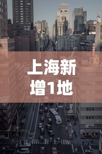 上海新增1地为高风险地区:上海高风险电话号段 上海新增1地为高风险地区:上海高风险电话号段