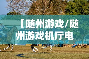 【随州游戏/随州游戏机厅电话】 【随州游戏/随州游戏机厅电话】