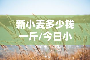 新小麦多少钱一斤/今日小麦下乡收购价格 新小麦多少钱一斤/今日小麦下乡收购价格