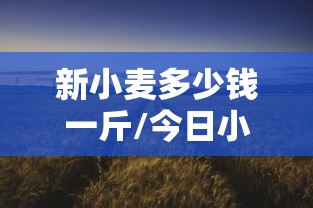 新小麦多少钱一斤/今日小麦下乡收购价格 新小麦多少钱一斤/今日小麦下乡收购价格