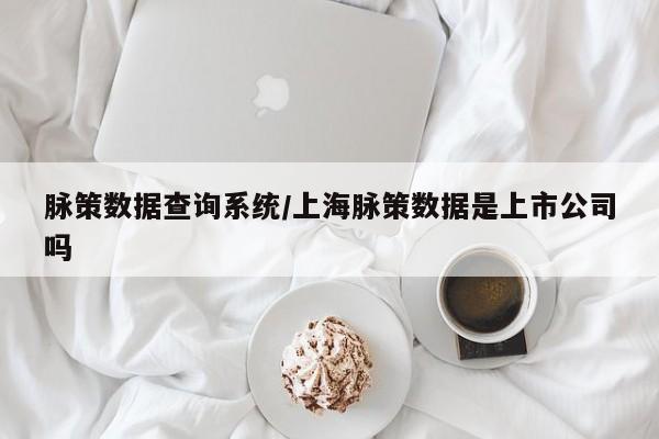脉策数据查询系统/上海脉策数据是上市公司吗