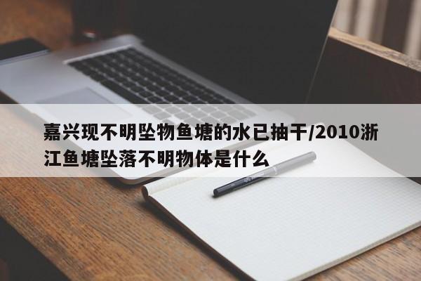 嘉兴现不明坠物鱼塘的水已抽干/2010浙江鱼塘坠落不明物体是什么