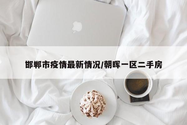 邯郸市疫情最新情况/朝晖一区二手房
