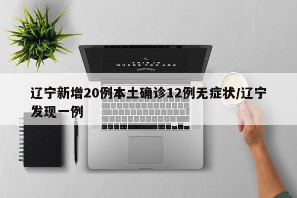 辽宁新增20例本土确诊12例无症状/辽宁发现一例