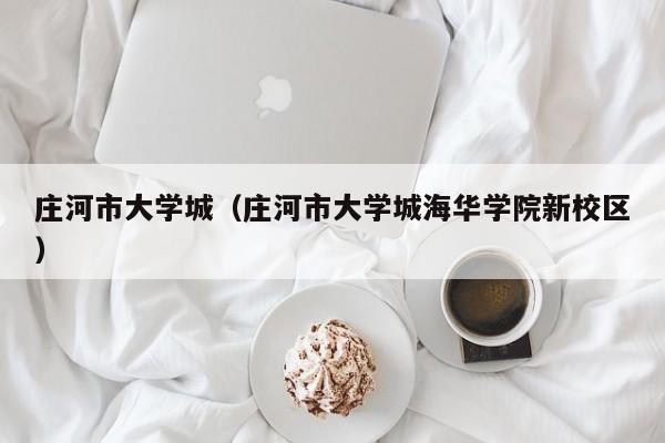 庄河市大学城(庄河市大学城海华学院新校区)