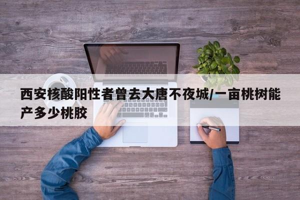 西安核酸阳性者曾去大唐不夜城/一亩桃树能产多少桃胶