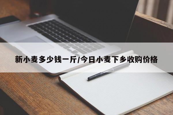 新小麦多少钱一斤/今日小麦下乡收购价格