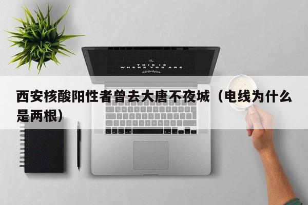 西安核酸阳性者曾去大唐不夜城(电线为什么是两根)